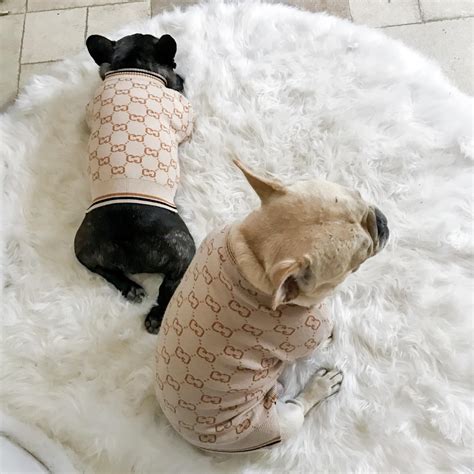 gucci pet wool sweater|designer dog coats gucci.